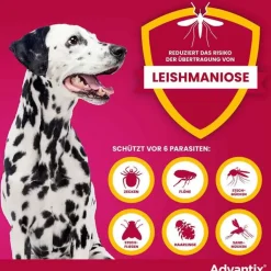 Advantix Spot-on Hund 10 - 25 kg Lösung, 4 St