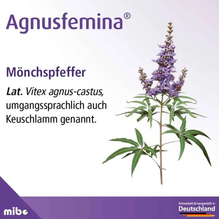 Agnusfemina 4 mg Filmtabletten , 60 St