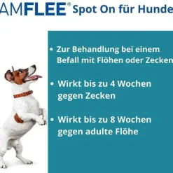 Amflee 402 mg Spot-On für sehr große Hunde, 3 St
