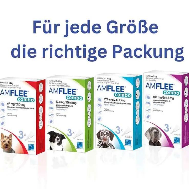 Amflee combo 268/241,2 mg Lösung zum Auftropfen für Hunde 20-40 kg, 3 St