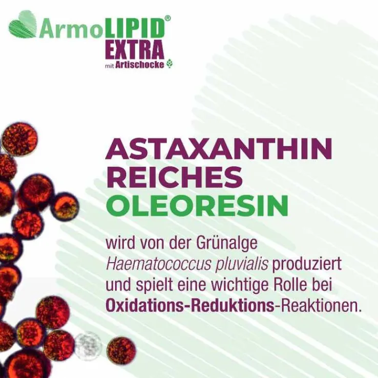 Armolipid Extra Tabletten mit Artischocke, 30 St