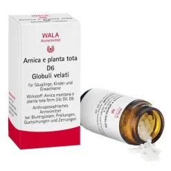 Arnica E Planta tota D 6 Globuli, 20 g