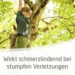Arnika-Salbe 30% zur Behandlung stumpfer Verletzungen, 70 g