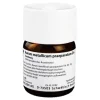 Aurum metallicum Präparat D 6 Trituration, 50 g