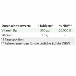 B12 Methylcobalamin Dr. Jacobs Lutschtabletten, 60 St