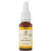 Bachblüte No.27 Rock Water Bio, 20 ml