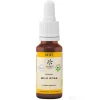 Bachblüte No.37 Wild Rose Bio, 20 ml