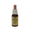 Bachblüten Murnauer Tropfen White Chestnut, 20 ml