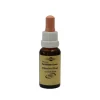 Bachblüten Murnauer Tropfen Chestnut Bud, 20 ml