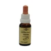 Bachblüten Murnauer Tropfen Wild Rose, 20 ml