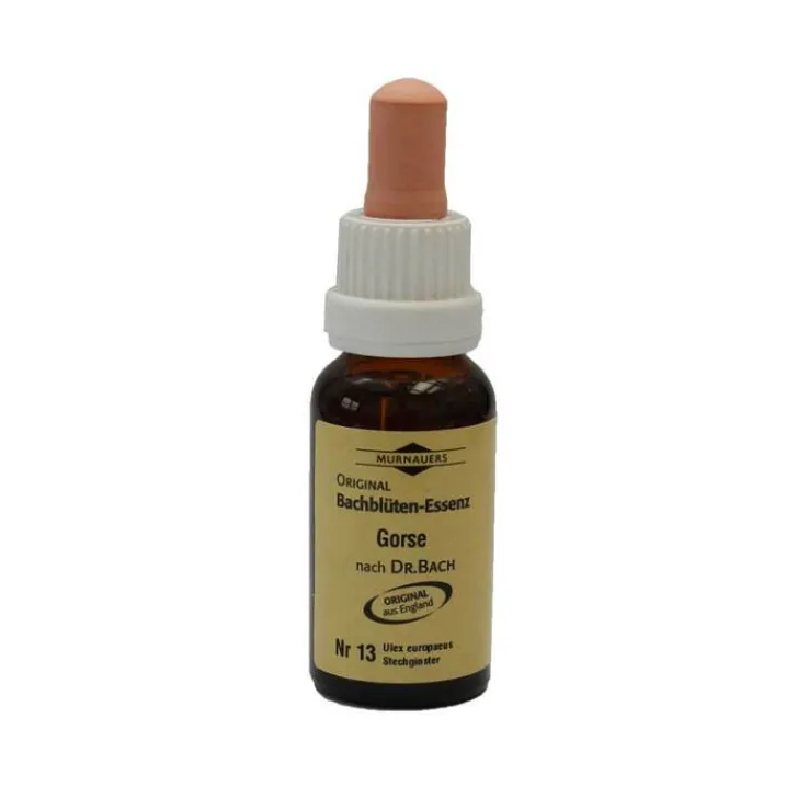 Bachblüten Murnauer Tropfen Gorse, 20 ml
