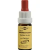 Bachblüten Murnauer Tropfen Cherry Plum, 20 ml