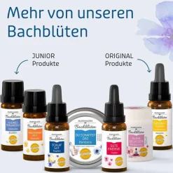 Bachblüten Murnauers Tropfen Schlaf Gut, 20 ml