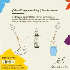 Bachblüten Nr. 3 Beech Tropfen, 20 ml