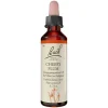 Bachblüten Nr. 6 Cherry Plum Tropfen, 20 ml