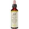 Bachblüten Nr. 7 Chestnut Bud Tropfen, 20 ml