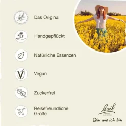 Bachblüten Nr. 7 Chestnut Bud Tropfen, 20 ml