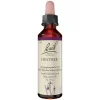 Bachblüten Nr. 14 Heather Tropfen, 20 ml