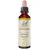 Bachblüten Nr. 16 Honeysuckle Tropfen, 20 ml