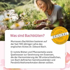 BB Gute Energie Tropfen, 20 ml