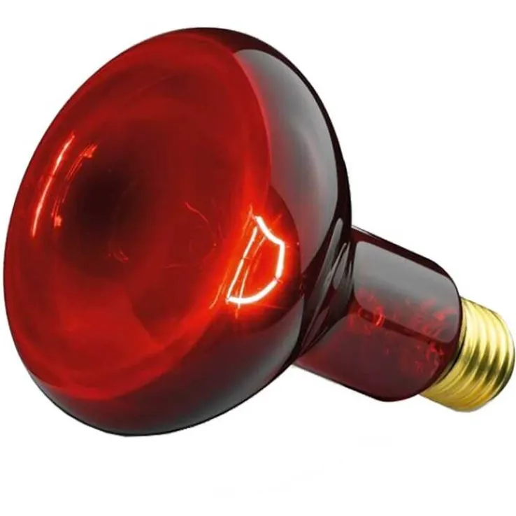 Beurer Glühbirne Infrarotlicht 100W, 1 St