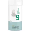 Biochemie Pflüger 9 Natrium phosphoricum D 6 Pulver, 100 g