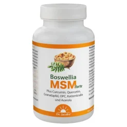 Boswellia MSM forte Dr. Jacob`s Tabletten, 90 St