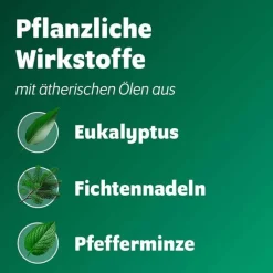 Bronchoforton® Salbe, 40 g