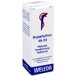 Bryophyllum RH D 3 Dilution, 20 ml