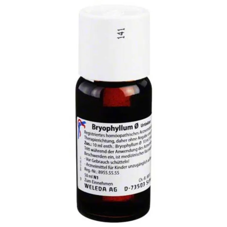 Bryophyllum Urtinktur, 50 ml