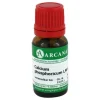 Calcium phosphoricum Arcana LM 6 Dilution, 10 ml