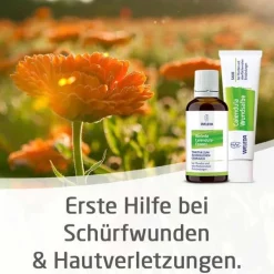 Calendula Wundsalbe bei Schürfwunden und Hautverletzungen, 70 g