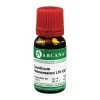 causticum Arcana LM 30 Dilution, 10 ml
