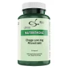 Chaga 500 mg Pilzextrakt Kapseln, 60 St