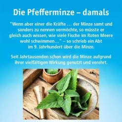 China Oel mit 3 Inhalatoren, 100 ml