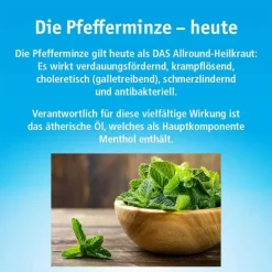 China Oel mit 3 Inhalatoren, 100 ml
