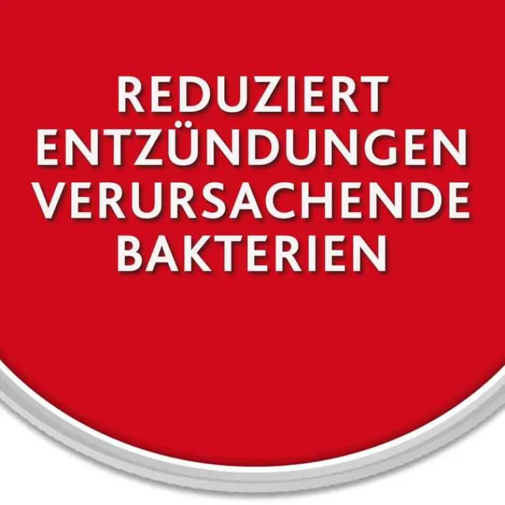 Chlorhexamed FORTE alkoholfrei 0,2 % Mundspülung, antibakteriell, 300 ml