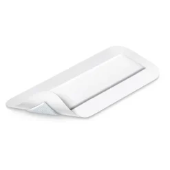 Cosmopor Advance 10x25 cm, 10 St