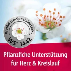 Crataegutt® 450 mg Herz-Kreislauf-Tabletten, 50 St