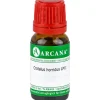 Crotalus Horridus LM 01 Dilution, 10 ml