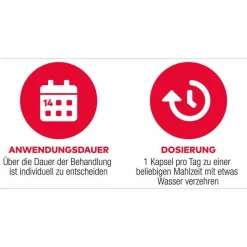 D3 + K2 Vit AL 2000 I.E. / 80 µg Kapseln, 90 St