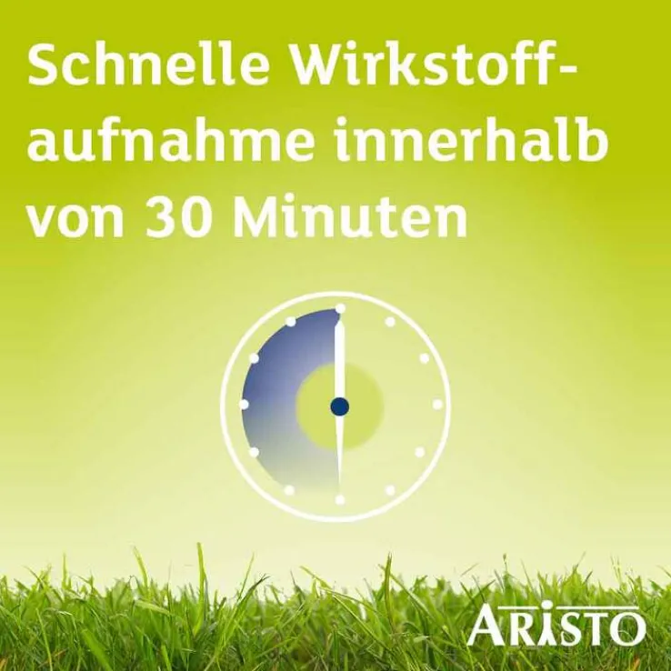 Desloratadin Aristo® Antiallergikum 5 mg Filmtabletten, 100 St