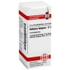 DHU Adlumia Fungosa D 12 Globuli, 10 g