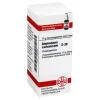DHU Ammonium carbonicum D 30 Globuli, 10 g