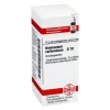DHU Ammonium carbonicum D 10 Globuli, 10 g