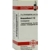 DHU Anacardium C 12 Globuli, 10 g