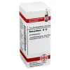 DHU Anacardium D 12 Globuli, 10 g