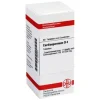 DHU Cardiospermum D 4 Tabletten, 80 St