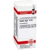 DHU Castor equi D 12 Globuli, 10 g