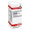 DHU Collinsonia canadensis D 6 G, 10 g